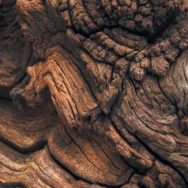 Catalogue Attila page 8