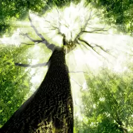 Catalogue Attila page 10