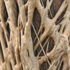 Catalogue Attila page 6