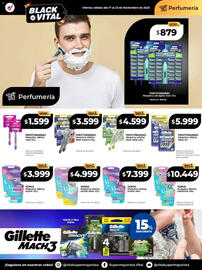 Catálogo Supermayorista Vital semana 47 Página 5