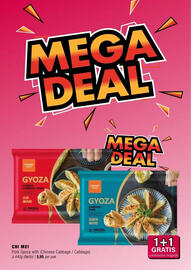 Amazing Oriëntal folder Pagina 12