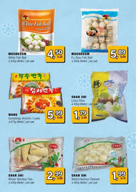 Amazing Oriëntal folder Pagina 17