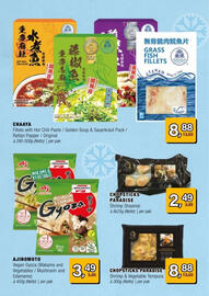 Amazing Oriëntal folder Pagina 22