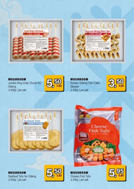 Amazing Oriëntal folder Pagina 8