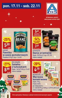 ALDI gazetka (ważność do 22-11)