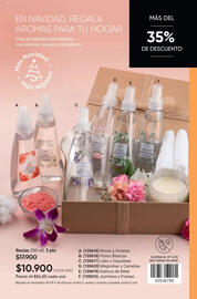 Catálogo Avon Página 102