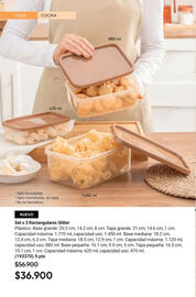 Catálogo Avon Página 44