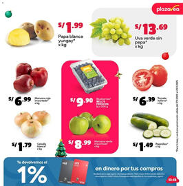 Catálogo Plaza Vea Página 13