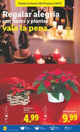 Catálogo Lidl semana 48 Página 38