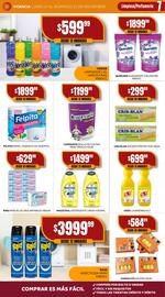 Catálogo Maxi Ofertas semana 47 Página 7