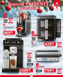 Selgros gazetka Strona 20