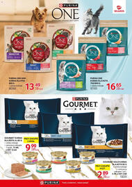 Selgros gazetka Strona 29