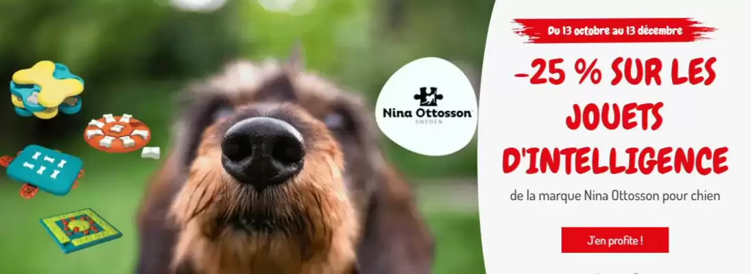 Catalogue Médor et Compagnie (valable jusqu'au 13-12)