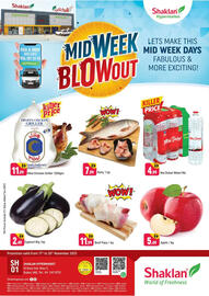 Shaklan leaflet Page 1