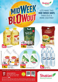 Shaklan leaflet Page 1