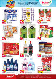 Shaklan leaflet Page 2