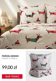 Homla gazetka Strona 12