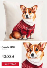 Homla gazetka Strona 4