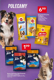 Lewiatan gazetka tydzień 47 Strona 17