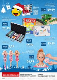 Eurogast Grissemann Flugblatt Seite 12