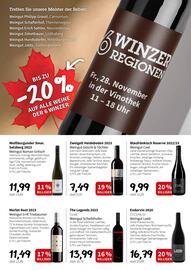 Eurogast Grissemann Flugblatt Seite 7