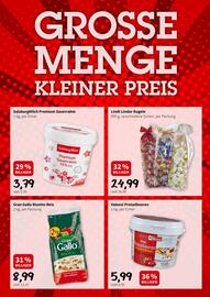 Eurogast Grissemann Flugblatt Seite 9