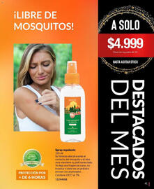 Catálogo Bagués Página 41