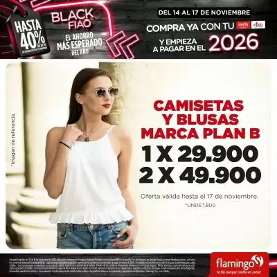 Catálogo Flamingo (válido hasta 17-11)