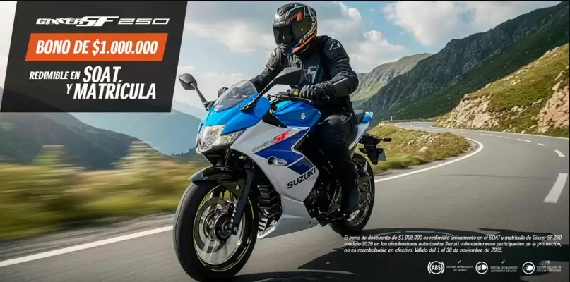 Catálogo Suzuki (válido hasta 30-11)