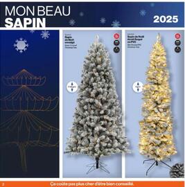 Patrick Morin flyer Page 2