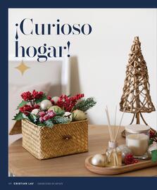 Catálogo Cristian Lay Página 120