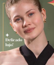 Catálogo Cristian Lay Página 52