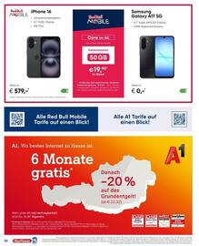 Hartlauer Flugblatt Seite 2