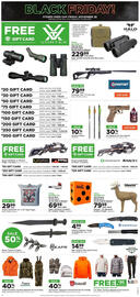 Mills Fleet Farm weekly ad Page 10
