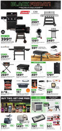 Mills Fleet Farm weekly ad Page 12
