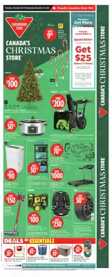 Canadian Tire flyer