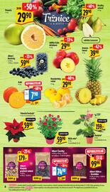 Albert leták | Supermarket Strana 15