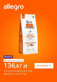 Allegro gazetka tydzień 47 Strona 4