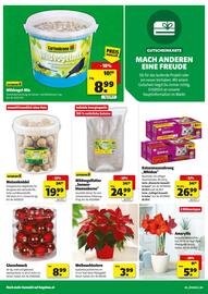 Hagebau Flugblatt Seite 6