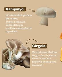 Catálogo Sorli Página 2