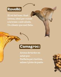 Catálogo Sorli Página 3