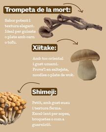 Catálogo Sorli Página 4