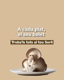 Catálogo Sorli Página 5