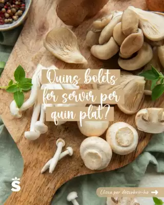 Catálogo Sorli (válido hasta el 6-12)