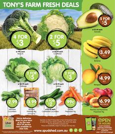 Spudshed catalogue week 47 Page 14