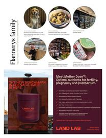 Flannerys catalogue Page 31