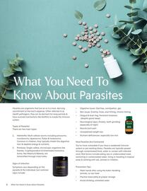 Flannerys catalogue Page 6