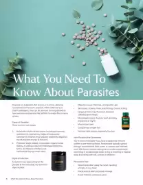 Flannerys catalogue Page 6