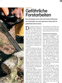 Lagerhaus Flugblatt Seite 13