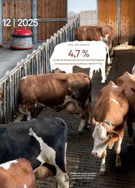 Lagerhaus Flugblatt Seite 4